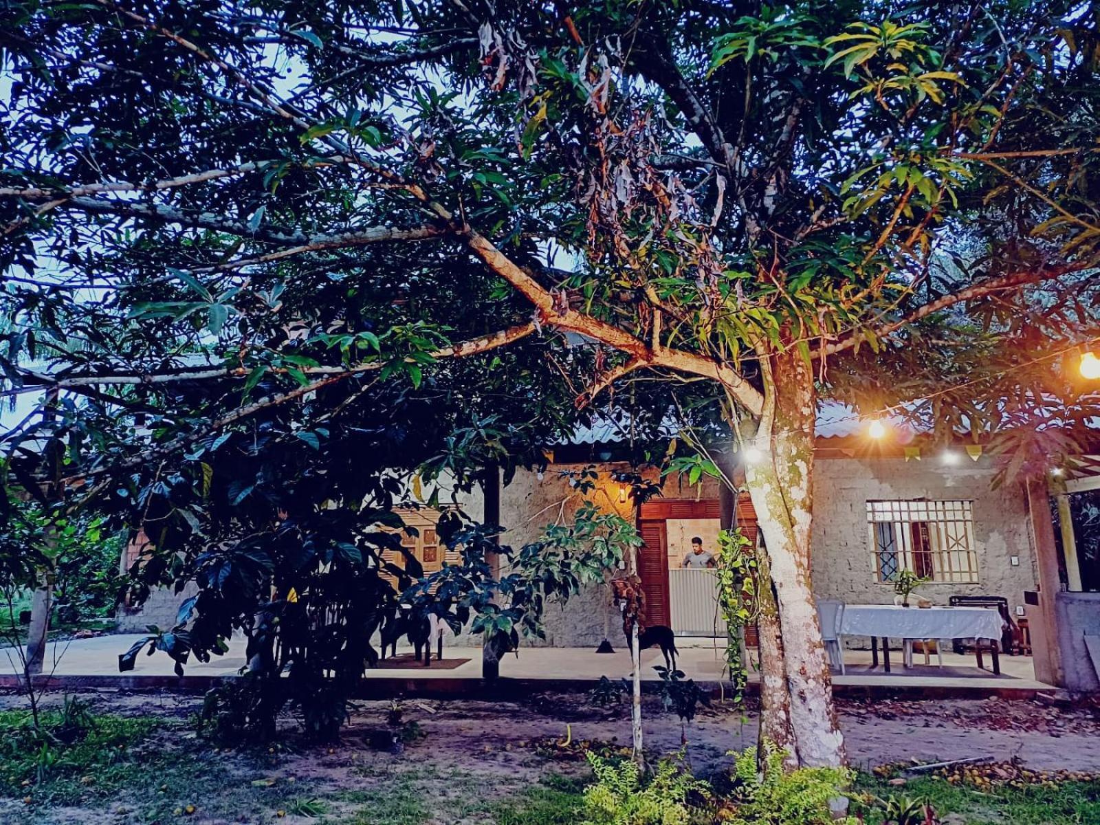 Отель Eco Sitio O Labirinto Do Fauno Москейру Экстерьер фото