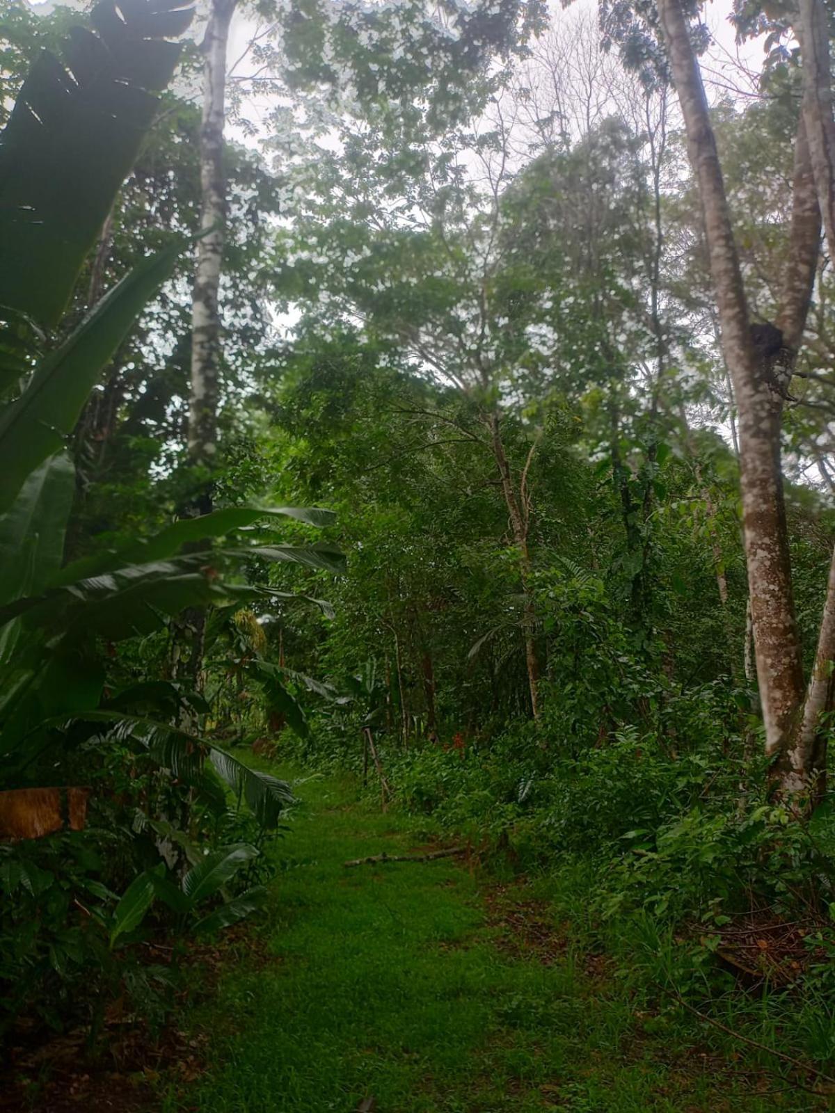 Отель Eco Sitio O Labirinto Do Fauno Москейру Экстерьер фото